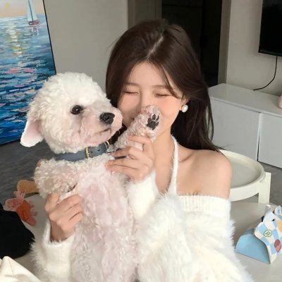 聪明的顺溜第二季
