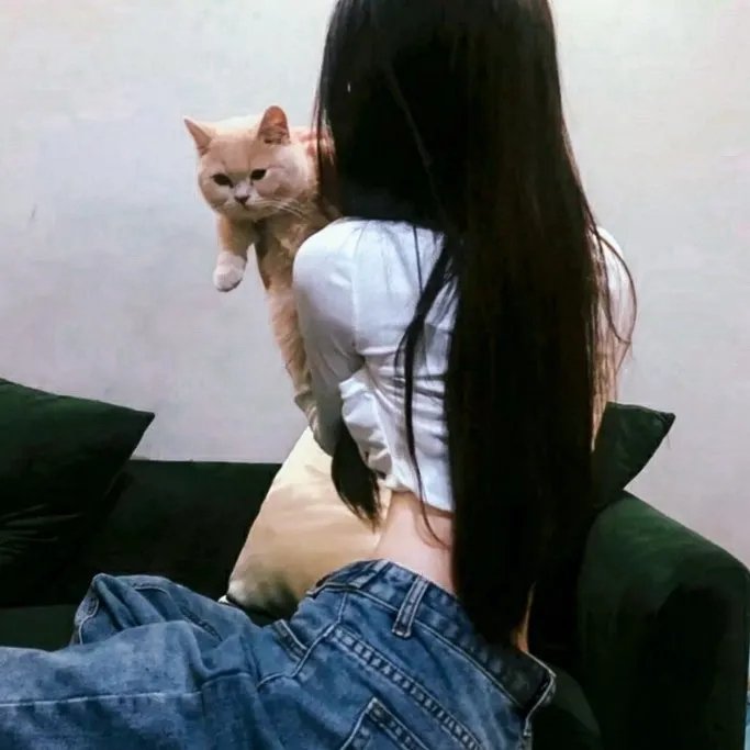 监狱不设防